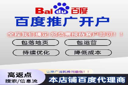 百度竞价排名：从失败到成功的转型案例